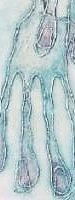 hands #2